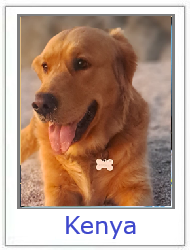 Kenya